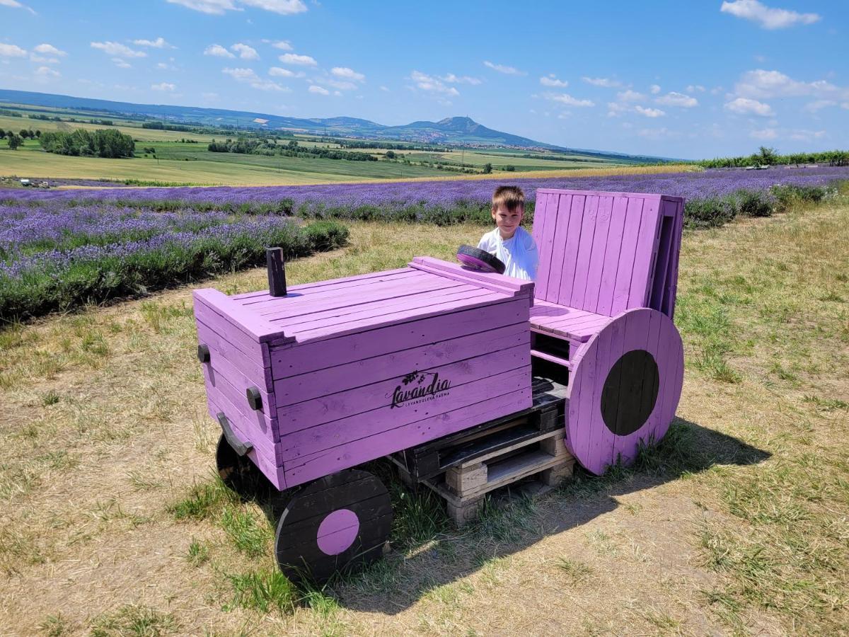 Apartmány pod Pálavou Starovicky Esterno foto